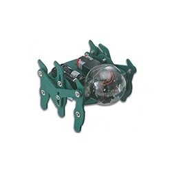 Hexapod Monster