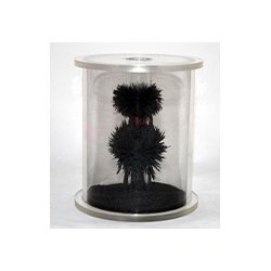 Magnetic Field Chamber