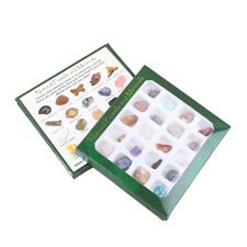 Advanced Fossil Collection