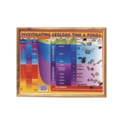 Investigating Geological Time And Fossils Chart