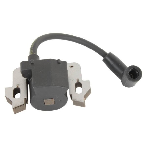 Injection Petrol Engine With Electronic Ignition