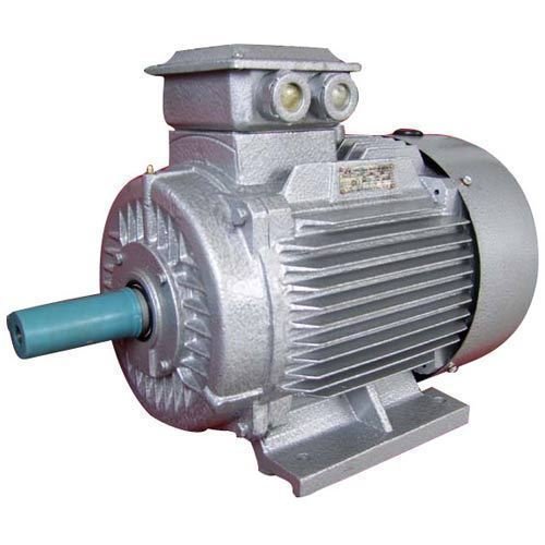 Squirrel Cage Induction Motor