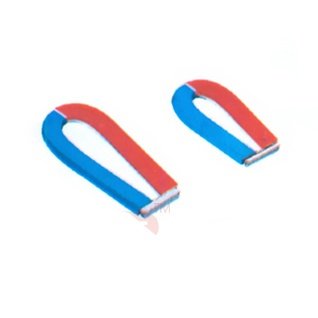 Horse Shoe Magnet