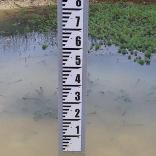 Staff Gauge