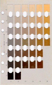 Soil Color Chart
